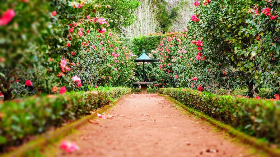 Manicured community garden with flowering hedges