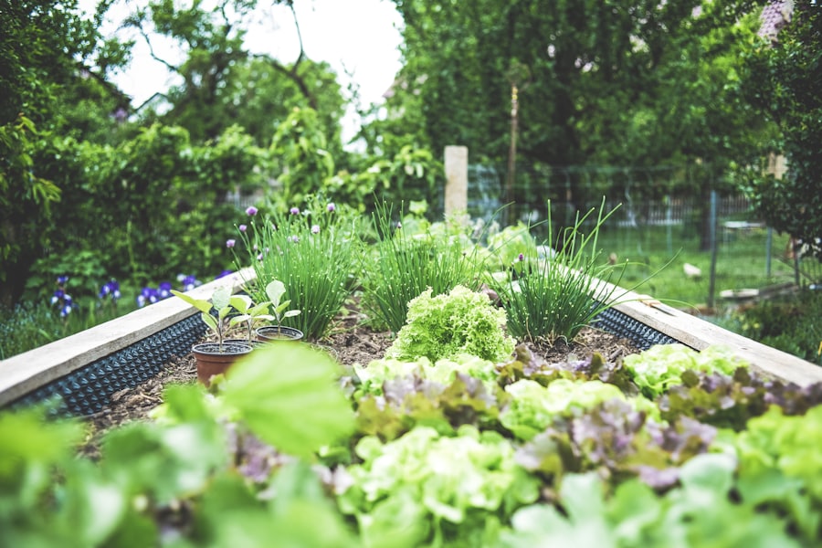 Lush garden beds kept healthy with efficient irrigation