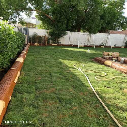 Natural grass turf being supplied and laid for a lawn — project 22