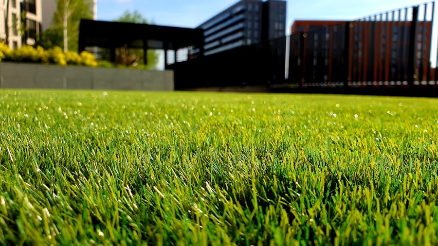 Fresh green lawn grass installed and maintained